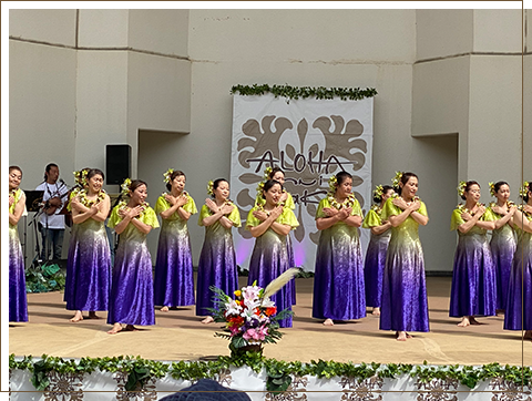 スタンダードクラス