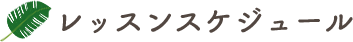 レッスンスケジュール