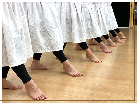 ハーラウの特徴