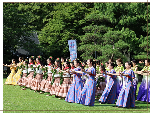 ハーラウの特徴