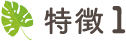 特徴1