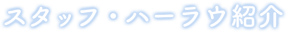 スタッフ・ハーラウ紹介